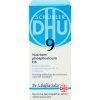 BIOCHEMIE DHU 9 Natrium phosphoricum D 6 Tabletten