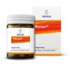 NAUSYN Tabletten