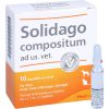 SOLIDAGO COMPOSITUM ad us.vet. (für Tiere) Ampullen