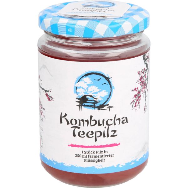 KOMBUCHA TEEPILZ