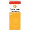 FERRUM HAUSMANN Sirup