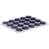 BLUE BERRY Tabletten